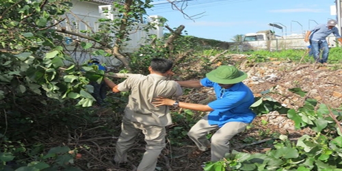 Thanh niên Cảng Quy Nhơn tham gia bảo vệ môi trường